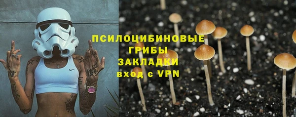 стафф Кулебаки