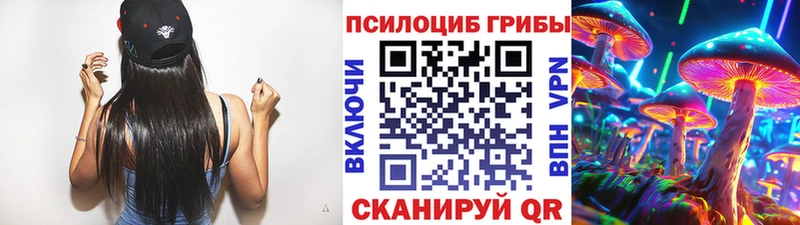 Псилоцибиновые грибы Psilocybe  Кодинск 